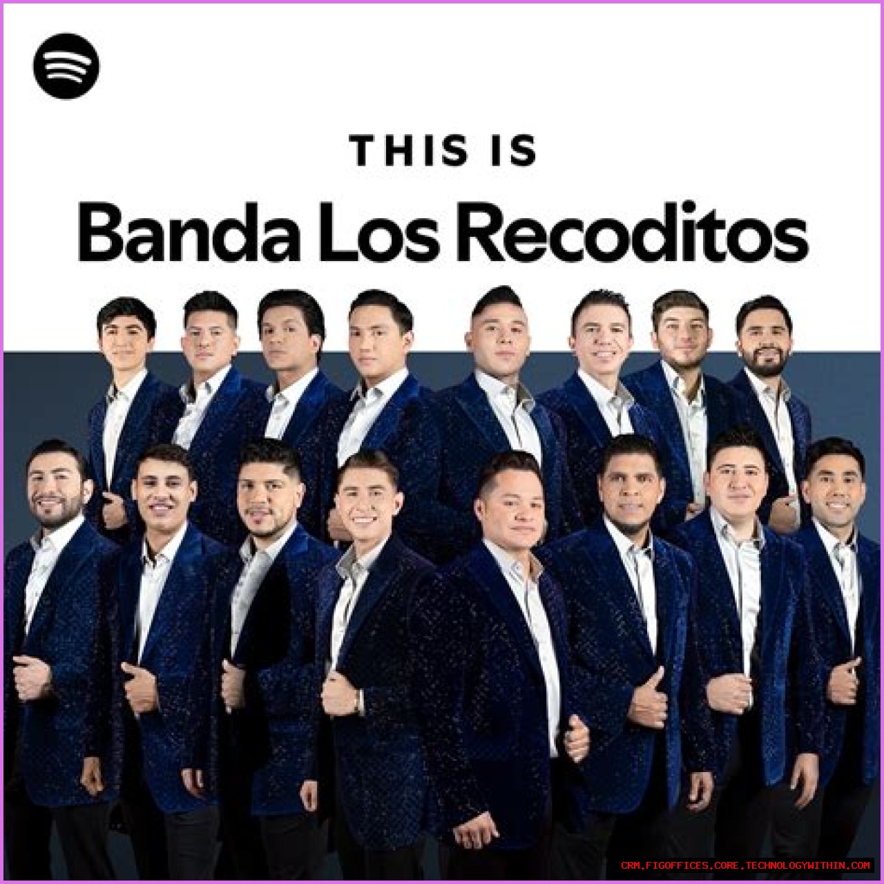 Banda Los Recoditos (Band) - Members profile, Facts, Wiki, Achievements, Net worth 2024 (updated)